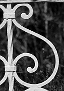 Wall_Art_Alphabet_Photography_Art_ 1997